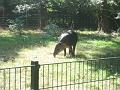 Zoo Cottbus 025